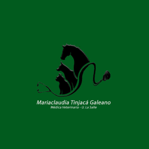 Proyecto Realizado